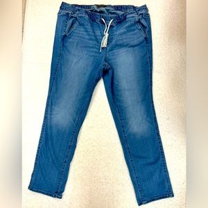 Torrid Mid-rise Jean Eased fit. Size: 2R  18/20 Regular